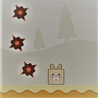 The Bunny
