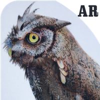 Homey Hero (AR game)