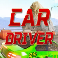 Car Driver