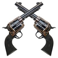 Western Duel
