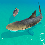 Attack Shark 3D