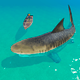 Attack Shark 3D