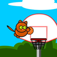 Cat basketball