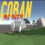The Çoban