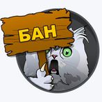 Cat100Gramm