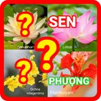 đoán tên các loài hoa