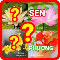 đoán tên các loài hoa