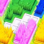 Lawn Sort 3D