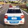 Police Officer Simulator
