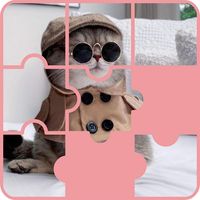 Puzzle For Adult Game Cat