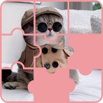 Puzzle For Adult Game Cat