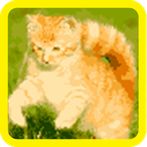 Cat Color Number - Pixel Art