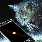 Laser pointer for cats