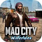 Mad City Wintertales 2018 Snow