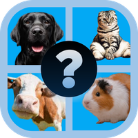 Tebak Hewan