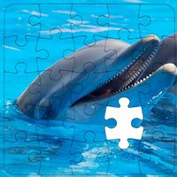 Rompecabezas de Delfines