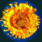 Jigsaw Meditation Puzzles