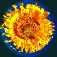 Jigsaw Meditation Puzzles