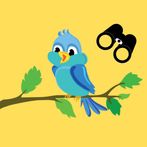 Bird Watcher Game