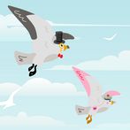 Flappy gulls