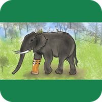 Game for Goodness:  Elephant's