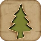 Evergrow: Paper Forest