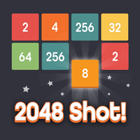 2048 Shot!