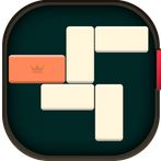 Puzzle Block
