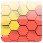 Hex Puzzle