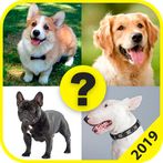 Adivina la Raza de Perro