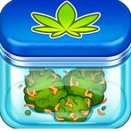 Weed Shop Tycoon