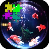 Awesome Aquarium Jigsaw Puzzle