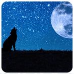 The Full Moon Wolf
