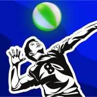 Volleyball Champ