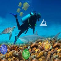 under water : scuba diving
