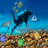 under water : scuba diving