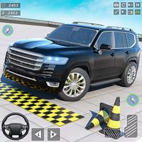 Prado Parking Driver Car Games