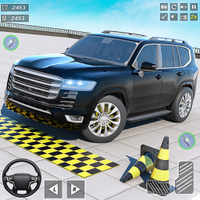 Prado Parking Driver Car Games