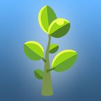 Sprout - grow relax plant