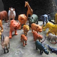 Animal Pictures and Sound