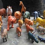 Animal Pictures and Sound