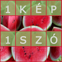 1 kép 1 szó magyarul
