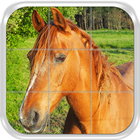 Sliding Tile Puzzle: Horses