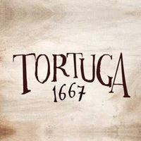 Tortuga Assistant