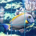 Puzzle: Slide and Rotate