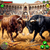 Rocky Apps & Games