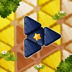 ZZZ_Healthy Block Puzzle : Tri
