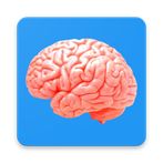 Memory Stimulator 4