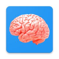 Memory Stimulator 4