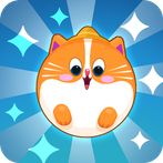 Chubby Cat